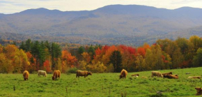 Гостиница Trapp Family Lodge, Стоу